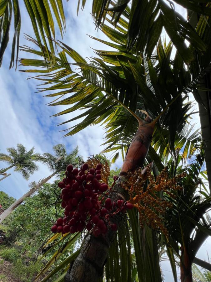 Вілла Hawaii Getaway Holualoa Екстер'єр фото